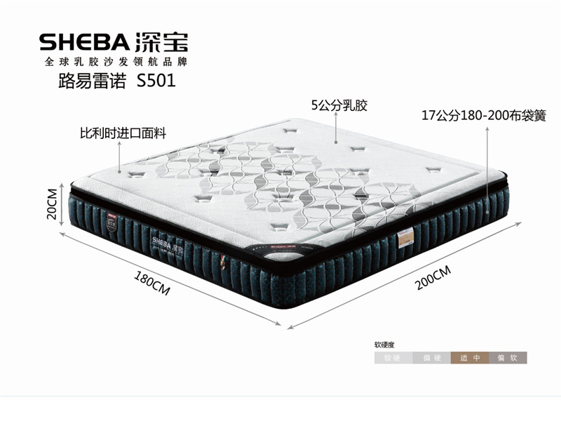 路易雷诺-S501 统一零售价：11200元