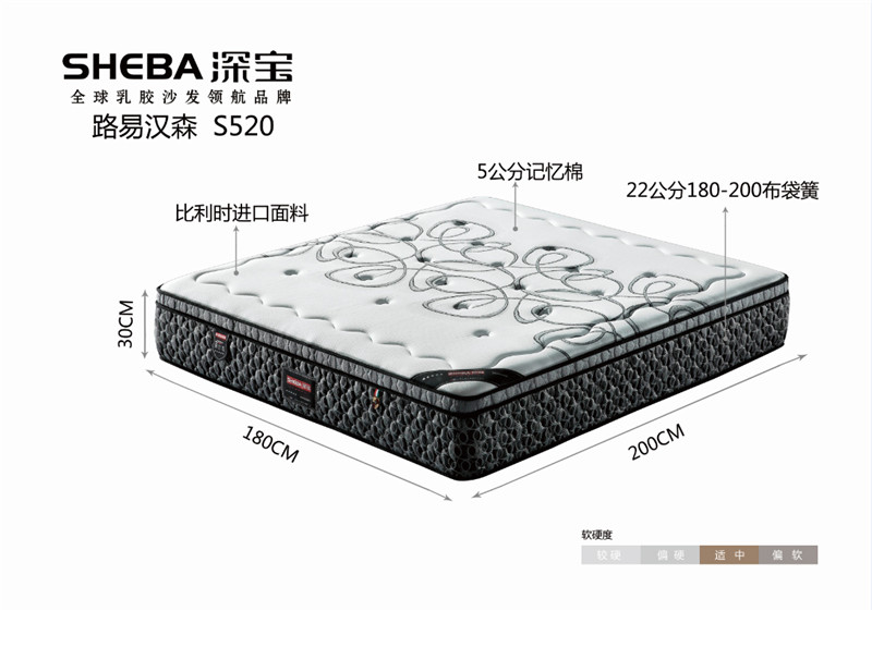 路易汉森-S520  统一零售价：10500元